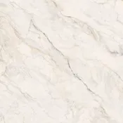 Apuano