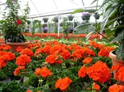 $50.00 Garden Center Gift Certificate