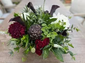 Deep Hues — Thistle Floral