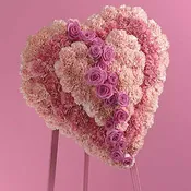 Broken Heart  -  JHSF058-11