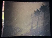 02 Hawaii Screen Print 74/75 "Entropic" Palms at Night by Allyn Bromley (AHB)