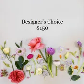 Designer's Choice $150