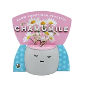 Chamomile Grow Kit | Peaceful Pot Herb Kit