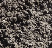 FILL LAKE SAND