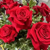 Rose arrangement Please specify color in special instructions. If you do not specify we will assume red.