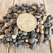 1 Lb 1/4 Black Criva River Rock Cactus and Succulent Top Soil Dressing