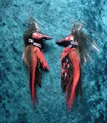Spirit Guide Earrings
