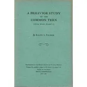 A Behavior Study of The Common Tern