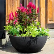 Flat-Bottom Bowl - 23.5in diam. x 10in
