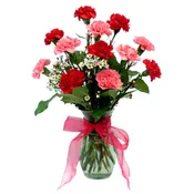 12 Carnations