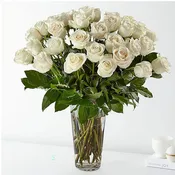 3 Dozen Roses Arranged