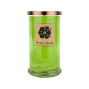 Absinthe at Midnight 18oz Soy Candle