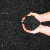 Colonial Black Mulch
