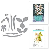Cymbidium Orchid and Ladybugs