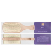 Dual-Sided Dry Brush