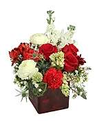 LUSCIOUS CHARM
