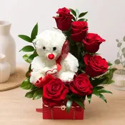 Beauty and the Bear