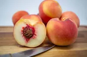 Babcock White Peach Tree