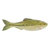 6Th Sense Plump Panorama - 5.0, Live Baby Bass, Swimbait