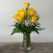 Dozen Yellow Roses