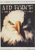 Air Force Eagle 23x35 : SKU : 1665