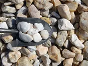 3-B Maryland River Stone