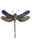Embroidered Brooch India - Brown Hawker Dragonfly