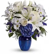 BLOOMS OF BLUES