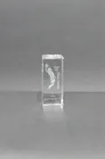 3D Sports Crystal Block with Laser Etching