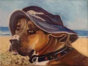 Bronco