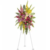 Rays of Light Spray by Teleflora