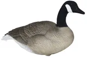 Big Honker Full size Canada goose-Painted Head or Flocked Head