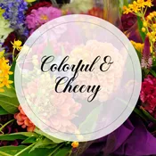 Designer’s Choice - Colorful and Cheery