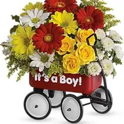 Baby's Wow Wagon by Teleflora - Boy