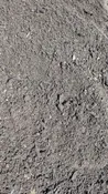 Screened Topsoil