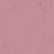 Spectratastic - Orchid