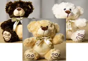 7" PAW PRINT TEDDY