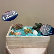Beachy Succulent