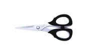 6" Professional Scissors