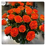 24 BEAUTIFUL  LONG  STEM ORANGE BROSES IN VASE