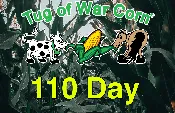 110 day Conventional Corn