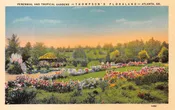 Atlanta Georgia Thompsons Floraland Perennial Tropical Gardens Postcard AA80069