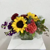 Fall Colors