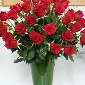 Jazzy Roses! 24 Roses
