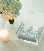 Bourland/Barton: Acrylic Guest Towel Holder — Lisa Mallory Interior Design
