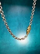 Alex Sepkus Seashell and Chain
