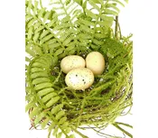 10″ Nest with Eggs & Ferns