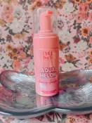 Aqua Melon Foaming Cleanser