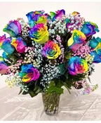 1 DOZEN RAINBOW ROSES