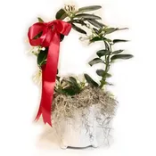Stephanotis Arrangement